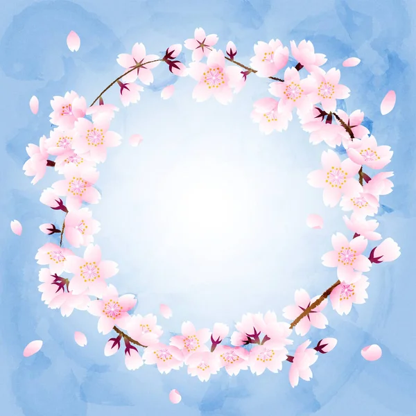 Frame Cherry Blossom Falling Petal Blue Sky Background — Zdjęcie stockowe