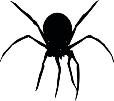 Örümcek Siyah ve Beyaz Görüntü