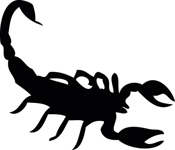Scorpion Black White Illustration — Stock Vector