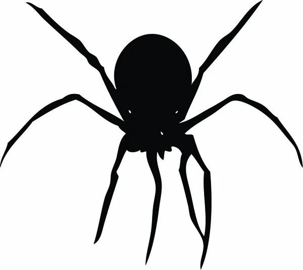 Spinne Schwarz Weiß Illustration — Stockvektor
