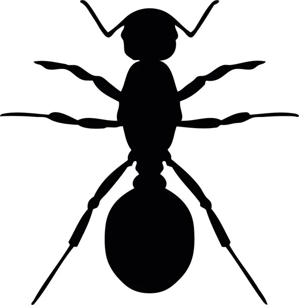 Karınca Siyah Beyaz Görüntü — Stok Vektör