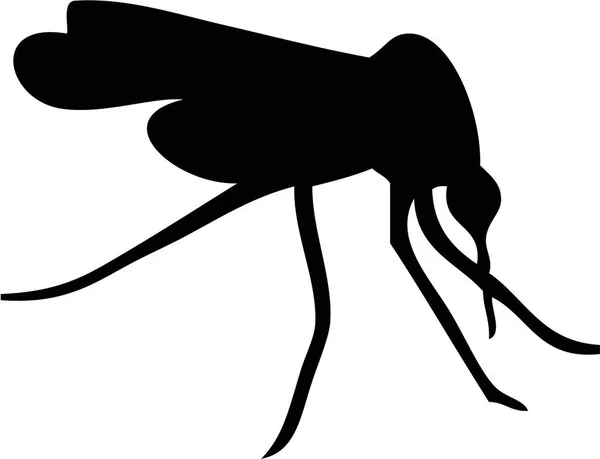 Mosquito Black White Illustration — Stock Vector