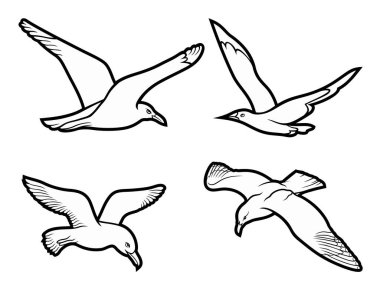 Cartoon cute doodle Seagulls set. Sketchy vector funny illustration. Isolated on white background. clipart