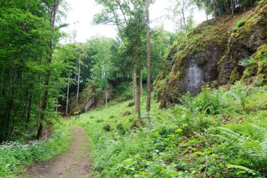 Almanya, Gerolstein yakınlarındaki kaya ve ağaçlarla Eifel dağlarında yürüyüş yolu.