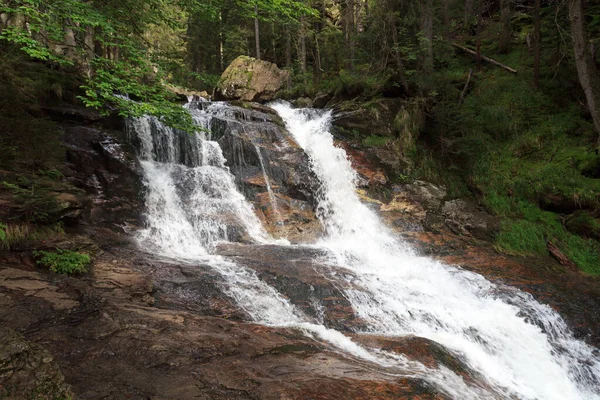 Almanya, Bodenmais yakınlarındaki Bavyera Ormanında Şelale Rieslochfaelle