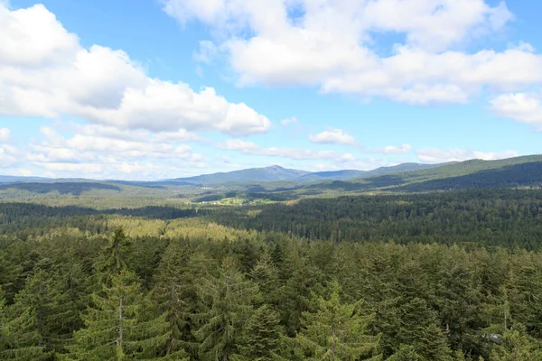 Kilátás Hegyekre Fákra Bajor Erdő Felől Bajor Erdő Nemzeti Parkban — Stock Fotó