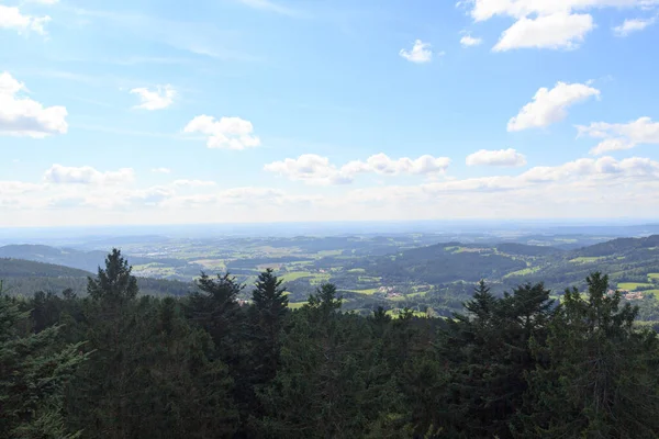 Vista Panorâmica Montanha Árvore Vista Caminho Floresta Waldwipfelweg Floresta Baviera — Fotografia de Stock
