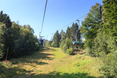 Almanya 'nın Bavyera Ormanı' ndaki Hoher Bogen Dağı 'na yaz kızakçısıyla başkanlık