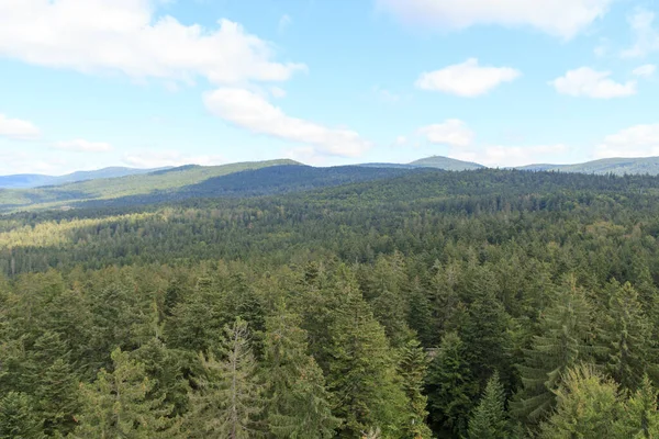 Vista Panorámica Montaña Árbol Con Cumbre Lusen Vista Desde Treetop —  Fotos de Stock