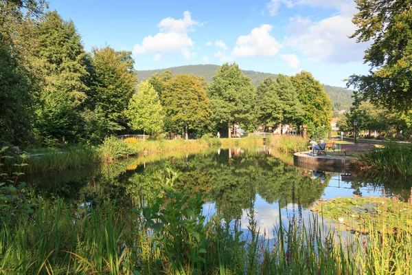 Spa Park Kurpark Lake Trees Municipality Bodenmais Bavarian Forest Germany — Stock Photo, Image