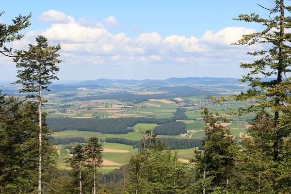 Panorama Utsikt Över Bayerska Skogen Sett Utifrån Berget Hoher Bogen — Stockfoto