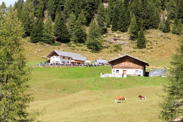 Alp Com Cabanas Alpinas Montanha Hirzer Saltaus Tirol Sul Itália — Fotografia de Stock