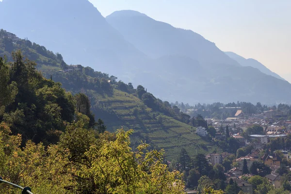 Вид Виноградники Горах Мерано Південний Тіроль Італія — стокове фото