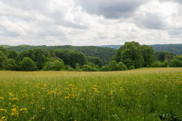 Almanya 'nın Franconian İsviçre bölgesindeki Obertrubach yakınlarında tepe manzaralı, tarlalı ve ormanlı kırsal bir yer.