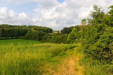 Almanya 'nın Franconian İsviçre bölgesindeki Obertrubach yakınlarında tepe manzaralı, tarlalı ve ormanlı kırsal bir yer.