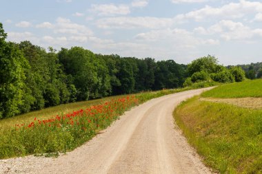 Franconian İsviçre 'de Wichsenstein yakınlarında çiçekli ve ormanlı çayırların yanında yürüyüş yolu.