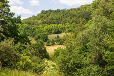 Franconian İsviçre, Almanya 'da Wichsenstein köyü yakınlarındaki çayır ve ağaçların olduğu kırsal bölge.