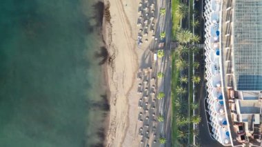 Havuz, palmiye ağaçları, güneş gözlüklü plaj ve Atlantik Okyanusu tatil beldesi Playa de las Americas 'taki Kanarya Adası Tenerife, İspanya