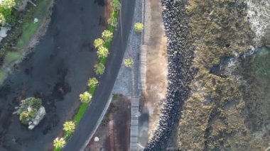 Havuz, palmiye ağaçları ve Atlantik Okyanusu kıyısındaki tatil beldesi Playa de las Amerika 'daki Kanarya Adası Tenerife, İspanya