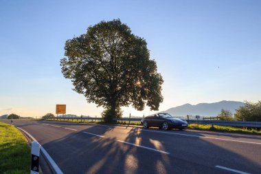 Rieden am Forggensee, Almanya - 10 Ağustos 2024: Bavyera 'da bir ağaç ve dağ Alpleri panoramasının yanında arka plan ışığı ve güneş ışınlarıyla üstü açık mavi Porsche 911