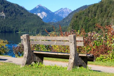 Almanya, Bavyera 'da Alpsee Gölü' nün önündeki park bankında dağ alpleri var.