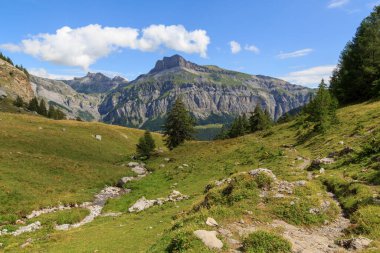 İsviçre 'nin İsviçre Alplerinde Mont Gond Zirvesi ile Dağ Panoraması