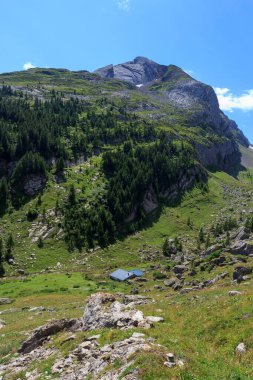 Zirveli dağ manzarası Tete Pegnat ve İsviçre Alpleri 'ndeki alp kulübesi, İsviçre