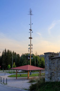 Ludwigsthal köyünde Maypole (Lindberg) ve Bavyera Ormanı Panoraması, Almanya