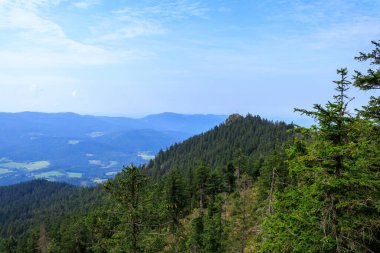 Kleiner Osser Zirvesi ve Almanya 'nın Bavyera kentindeki Bavyera Ormanı' nda Zirve Haçı ile Dağ Panoraması