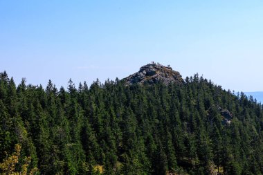 Grosser Seeriegel Zirvesi, Almanya 'nın Bavyera Ormanı' ndaki ağaçlarla birlikte Arber Dağı 'nda.