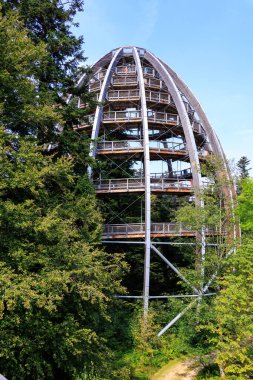 Baumei Gözlem Kulesi, Almanya 'nın Bavyera Ormanı Ulusal Parkı' ndaki Treetop Walk 'da (Baumwipfelpfad)