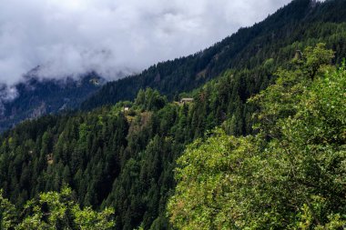 Güney Tyrol, İtalya 'daki Merano High Mountain Trail yakınlarında Dağ Kulübesi Leiter Alm