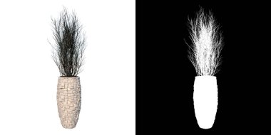 Bitki saksısı bitki dallarının ön görünümü 1 Ağaç beyaz arkaplan 3 Boyutlu Ilustracion 3B