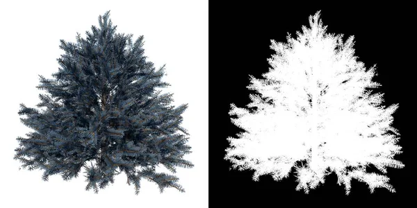 带Alpha通道的植物皮皮卡根蒙哥马利1号树桩到3D渲染切割的前景 — 图库照片