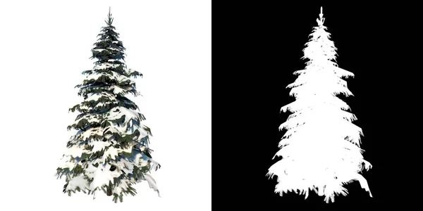 松树雪树冬季1号植物白色背景3D渲染Ilustracion 3D前景 — 图库照片