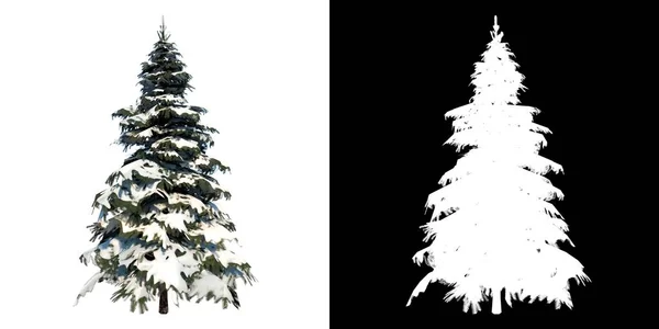 松树雪树冬季2植物白色背景3D渲染Ilustracion 3D前景 — 图库照片