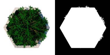 Kapalı Salon Bitkisi 7 Ağaç png ile Bitki saksısı vazosunun üst görünümü alfa kanalı ile kesilerek 3D oluşturuldu