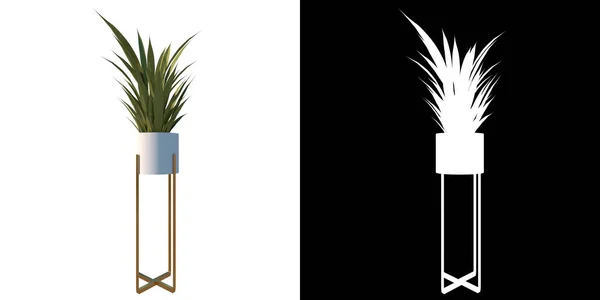 植物の正面図室内植物9本入り花瓶3Dレンダリングで作成した切り抜き用アルファチャンネル付きツリーPng — ストック写真