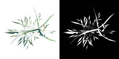 Santral Uzun Çim 1 Ağaç png üst görünümü alfa kanalı ile kesme 3B render