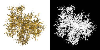 Siyah yapraklı altın ve beyaz ağaç dalları