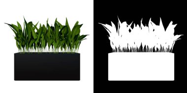 Dracaena 2 Ağaç arkaplanlı Bitki Çiçeği Saksının ön görünümü 3 Boyutlu İlustrakion 3 Boyutlu