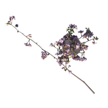 Vazo 1 'deki Bitki Çiçekleri ve Dalları' nın en üst görünümü Ağaç beyaz arkaplan 3D Resim İlustrakyonu 3B