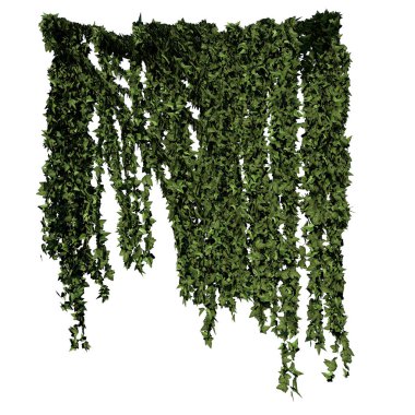 Bitki Sarmaşığı Beyaz Arkaplan 3B Görüntü Görüntüleme İlustrakyonu 3B