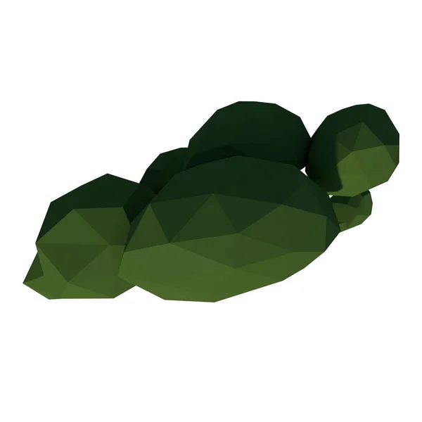 Top view of Plant Low Poly Tree 1 Tree white background 3D Rendering Ilustracion 3D