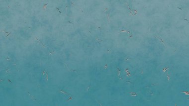 Doku malzemesi arka planda çatlak Seramik 1 gökyüzünde uçan bir martı sürüsü