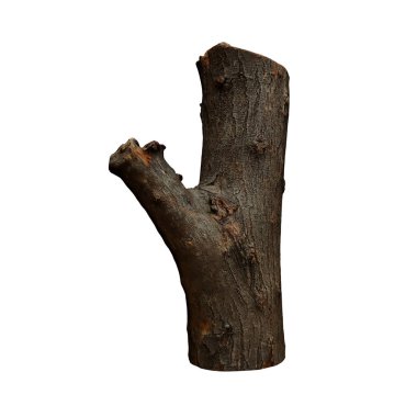 Bitki (Bagaj 1) Ağaç png kuru ağaç dalının ön görünümü beyaz arkaplanda izole