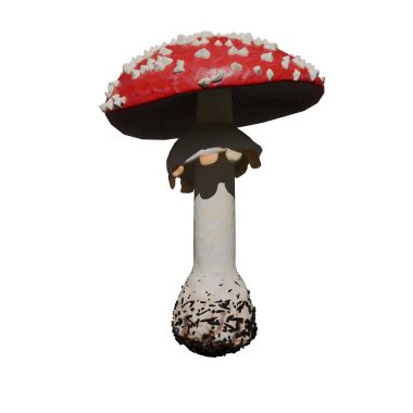 Bitki (Mantar, Toadstool No. 2 (Amanita Muscaria) Şapkada ağaç mantarı