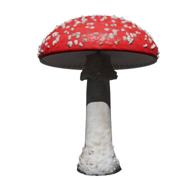 Bitki (Mantar, Toadstool No. 1 (Amanita Muscaria) Beyaz üzerine izole edilmiş ağaç mantarı