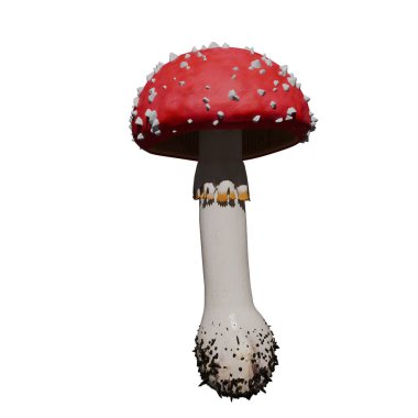 Bitki (Mantar, Toadstool No. 3 (Amanita Muscaria) Ağaç mantarı beyaz zemin üzerinde izole