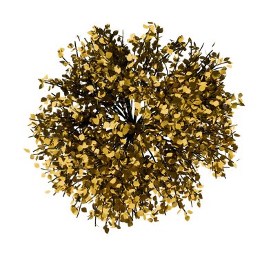 Beyaz zemin üzerinde Bitki (Spirea Japanica) Ağaç Altın Yılbaşı Ağacı.